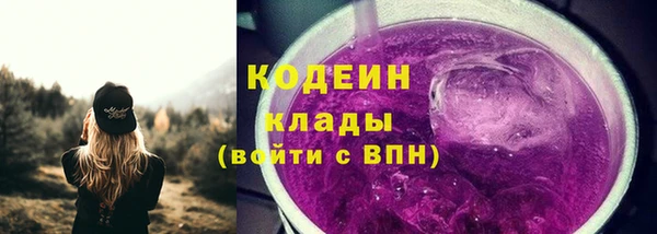 стаф Богданович