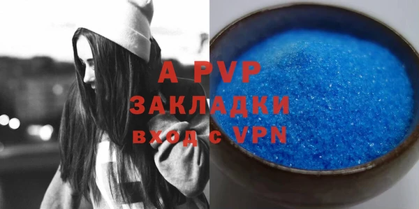 стаф Богданович