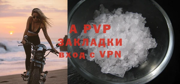 стаф Богданович
