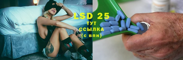 стаф Богданович