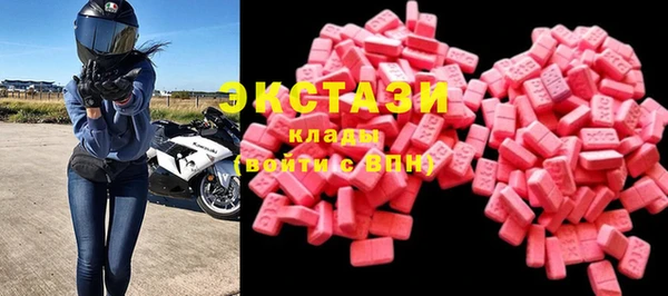 стаф Богданович