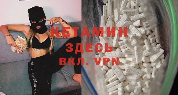 стаф Богданович
