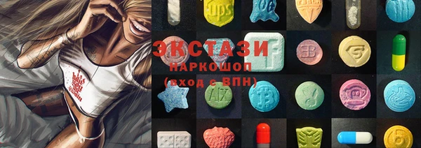 стаф Богданович